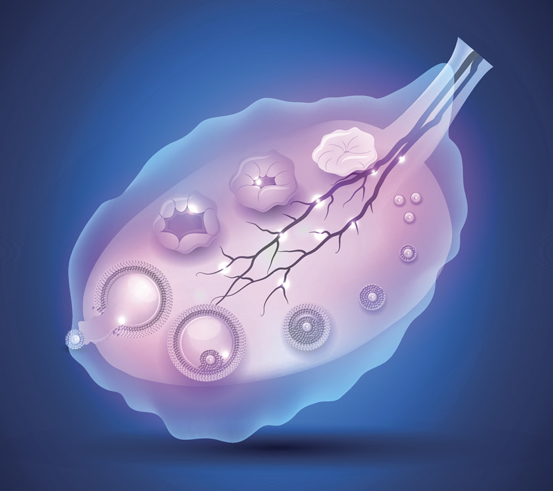 2026最新三代试管婴儿全攻略，成功率飙升，费用大降